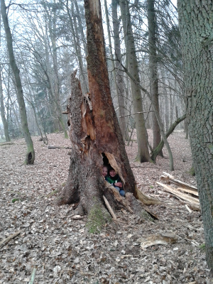 Kinder in Baum